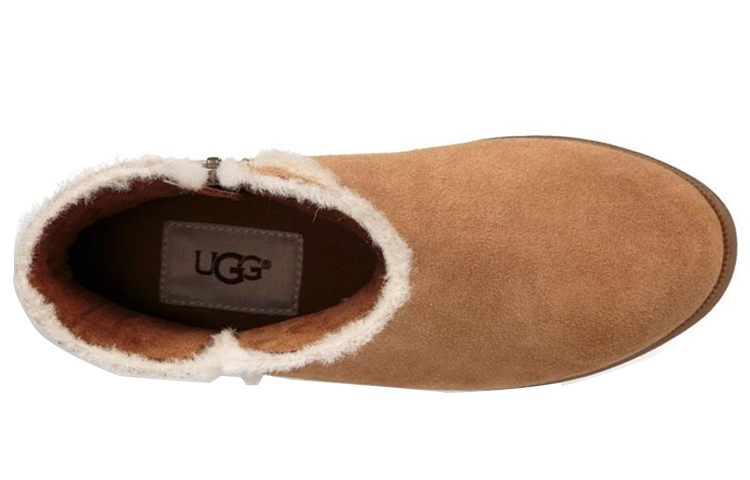 Purchase (PS) Botte UGG Coletta (Grande) Marron-Châtaigne 1094579K-CHE
