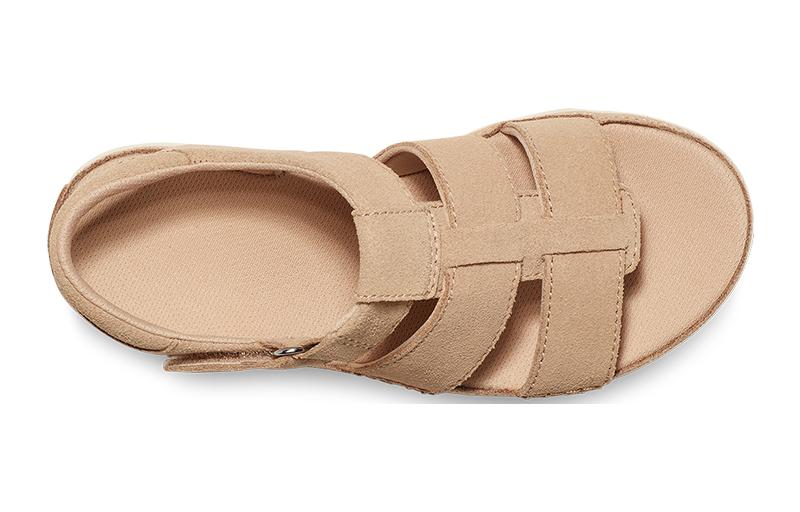 Purchase (PS) UGG Goldenstar Sandalo con Cinturino ''Driftwood'' 1136544K-DRI