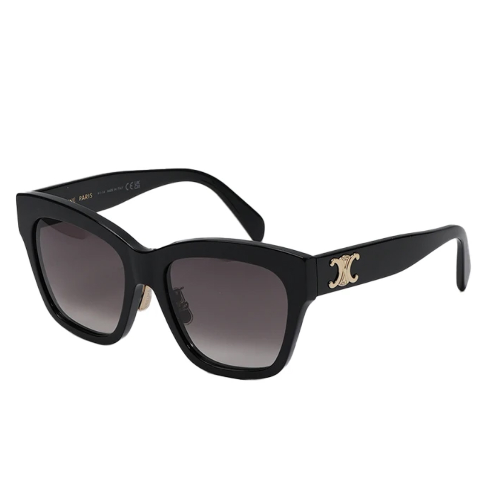 CELINE Iconic Temples Irregular Acetate Sunglasses Unisex Black CL40253F01F