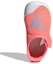 Purchase (Toddler) adidas AltaVenture 'Acid Red Sky Rush' GV7809