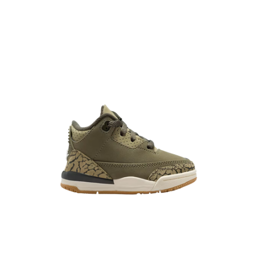 Buy (TD) Air Jordan 3 复刻 家庭聚会 DM0968-202