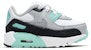 (TD) Nike Air Max 90 'Hyper Turquoise' Lelaki/Kasut Wanita CD6868-102