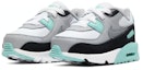 Lookbook (TD) Nike Air Max 90 'Hyper Turquoise' Lelaki/Kasut Wanita CD6868-102