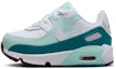 Buy (TD) Nike Air Max 90 LTR 'Jade Ice' Lelaki/Awanita Sneakers DV3609-104