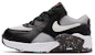 (TD) Nike Air Max Excee SE 'Hitam Kelabu Asap Terang' CZ6365-001