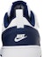 Sizing (Toddler) Nike Court Borough Low 2 'White Signal Blue' BQ5453-107