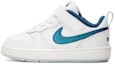 Buy (TD) Nike Court Borough Low 2 SE 'Tapak Kaki Haiwan' DQ5981-100