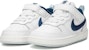 (TD) Nike Court Borough Low 2 SE 'Tapak Kaki Haiwan' DQ5981-100