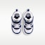 Shop (Toddler) Nike Court Borough Low Recraft White/Deep Night/Midnight Navy/Metallic Silver DV5458-135