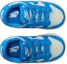 Order (Toddler) Nike Dunk Low 'Light Silver Sail Light Photo Blue' FB9107-004