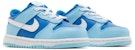 (TD) Nike Dunk Low Retro QS 'Argon' 2022 DV2634-400