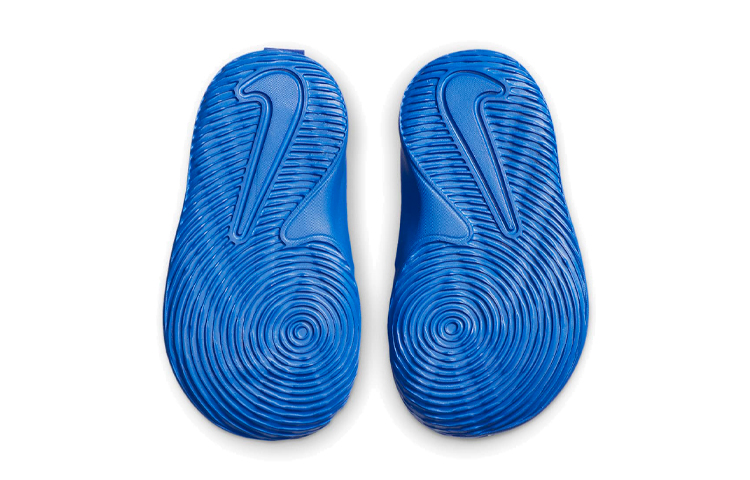 Details for (TD) Nike Team Hustle D9 ''Game Royal Metallic Silver'' Herren Basketballschuhe AQ4226-404