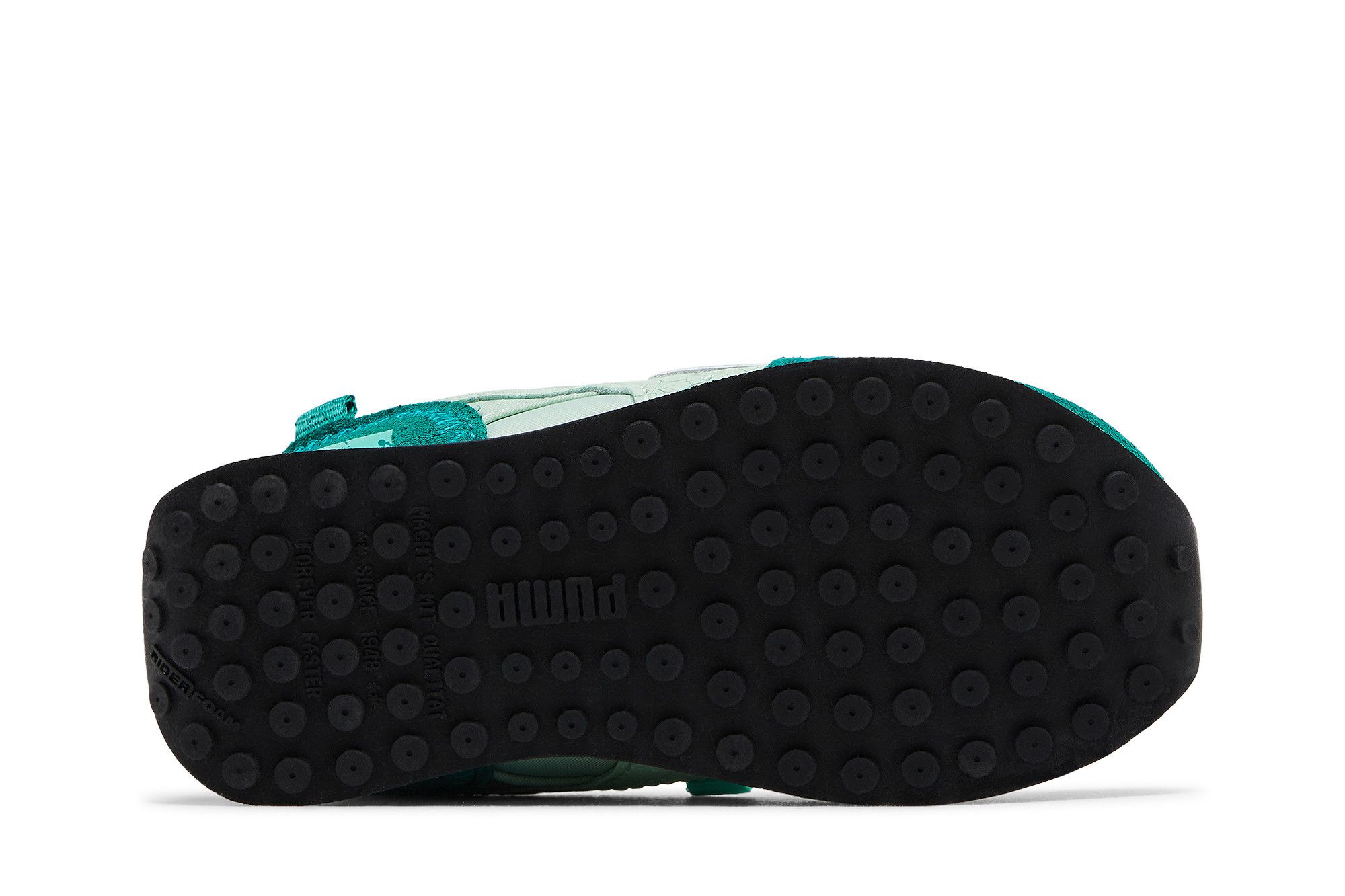 (TD) Pokémon Puma Future Rider 'Bulbasaur' 圖 4