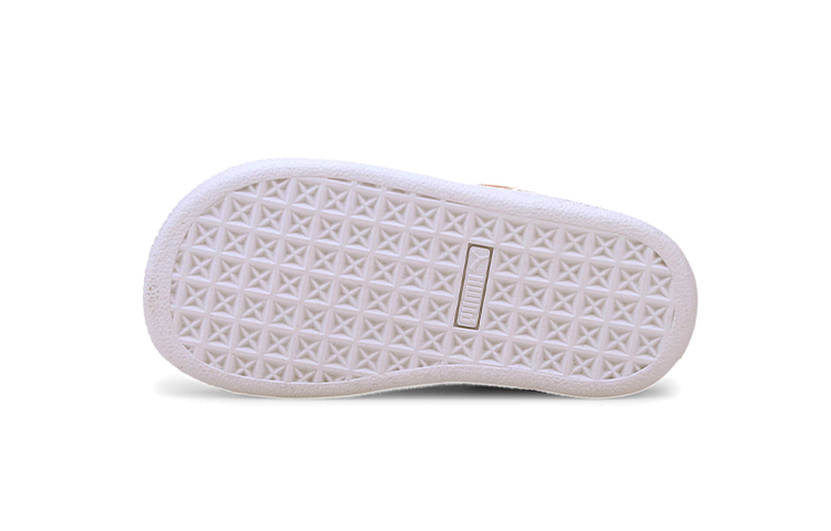 Purchase (TD) Puma Basket Canvas ''Rosa'' 374302-01