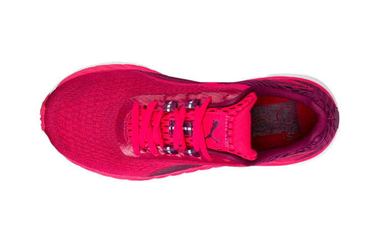 (TD) Puma Ignite Dual Mesh 'Pink Purple' 圖 4