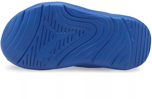 (TD) 푸마 블루화이트 스포츠 샌들 (Puma Blue White Sports Sandals) 372158-10 Purchase (TD) 푸마 블루화이트 스포츠 샌들 (Puma Blue White Sports Sandals) 372158-10