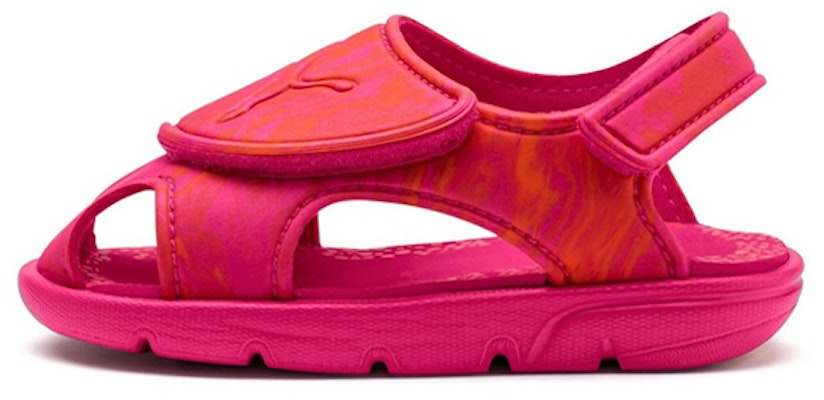 (TD) プーマ スポーツサンダル (Puma Supōtsu Sandaru) 369499-03 Buy (TD) プーマ スポーツサンダル (Puma Supōtsu Sandaru) 369499-03