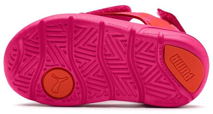 (TD) プーマ スポーツサンダル (Puma Supōtsu Sandaru) 369499-03 Purchase (TD) プーマ スポーツサンダル (Puma Supōtsu Sandaru) 369499-03