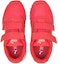 Lookbook (Toddler) Puma St Runner V2 NL Velcro 'Red' 365294-36