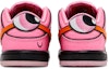 Details for (TD) The Powerpuff Girls x Nike Dunk Low Pro SB QS 'Blossom' - Kasut Wanita Stylish Blossom FZ3352-600