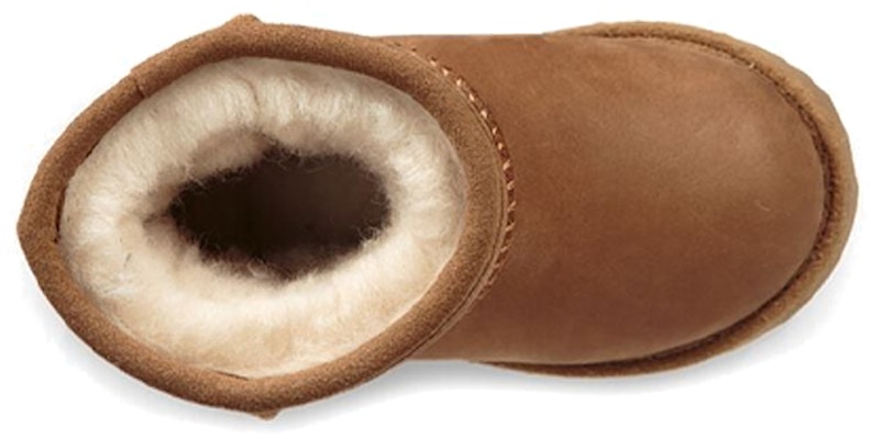 (TD) UGG 클래식 II 미드카프 체스트넛 (or UGG 클래식 II 체스트넛) 1019646T-CHE Shop (TD) UGG 클래식 II 미드카프 체스트넛 (or UGG 클래식 II 체스트넛) 1019646T-CHE