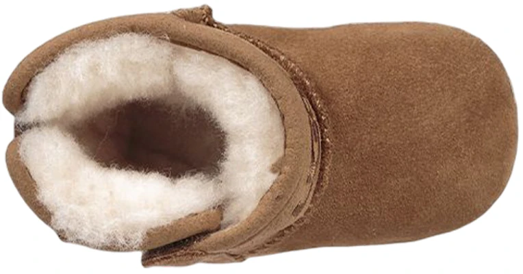 (TD) UGG Jesse II Boot 'Chestnut' Coklat 1018141I-CHE Purchase (TD) UGG Jesse II Boot 'Chestnut' Coklat 1018141I-CHE