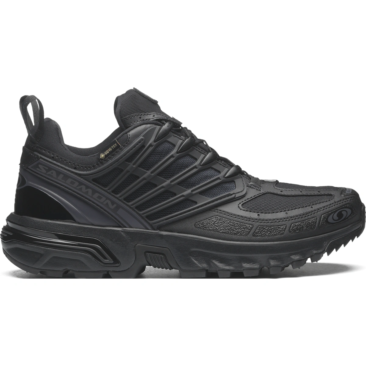 Salomon ACS Pro GTX Rainy Day/Black/Ebony
