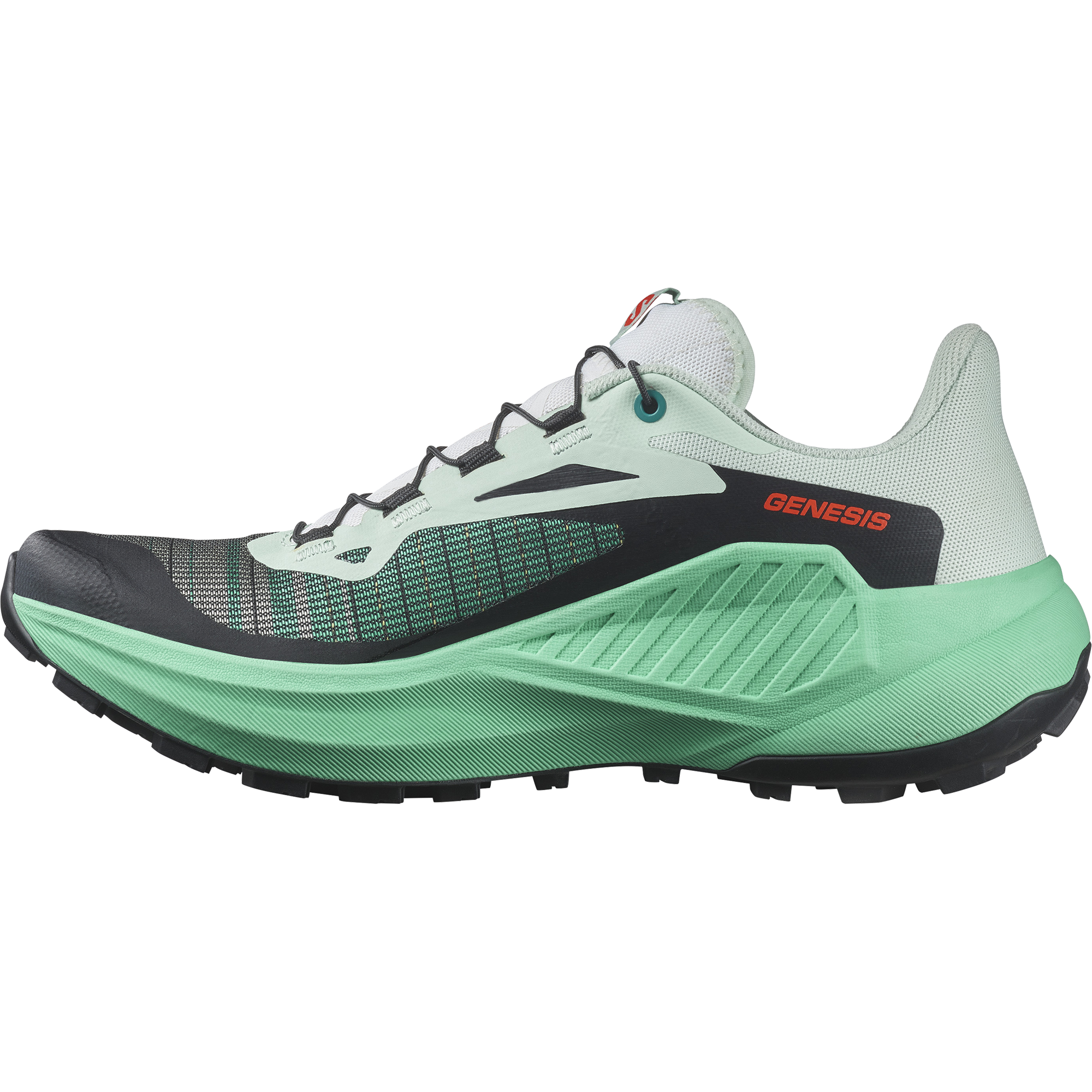 Purchase (M) Génesis W L47588800