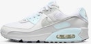 Buy (W) Nike Air Max 90 Wanita DH8010-104