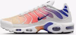 (W) Kasut Nike Air Max Plus Sneaker Wanita DZ3670-003