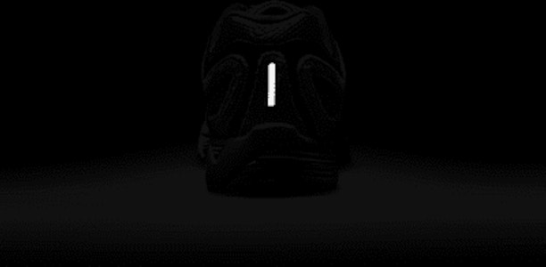 (W) ナイキ エア ペガサス 2005(オンライン限定発売) HJ5271-300 1