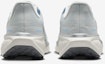 Details for (W) Nike Pegasus 41 Wanita FD2723-007