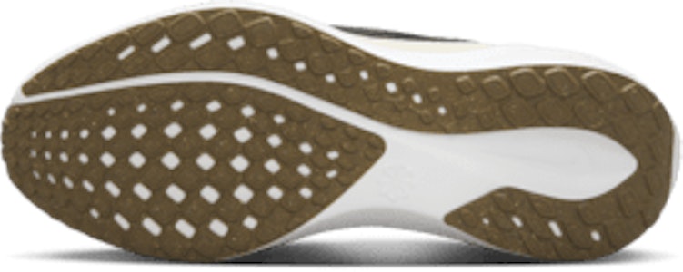 (W) 나이키 페가수스 41 FD2723-108 Order (W) 나이키 페가수스 41 FD2723-108