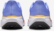 Details for (W) Nike Pegasus 41 Wanita FD2723-402