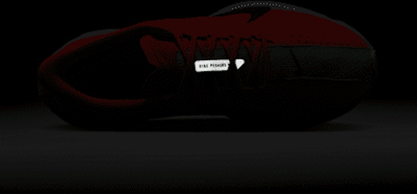 (W) Nike Pegasus Plus FQ7261-600 1