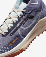(W) Nike Pegasus Trail 4 GORE-TEX Wanita DJ7929-502 3