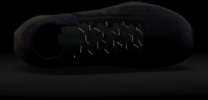 (W) Nike Pegasus Trail 4 GORE-TEX Wanita DJ7929-502 1