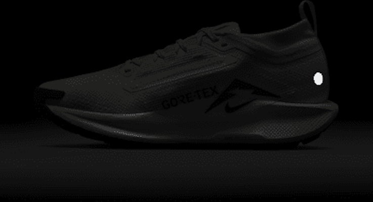 (W) ナイキ ペガサス トレイル 5 GORE-TEX【直販限定】 FQ0912-003 2