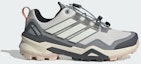 Buy (W) TERREX Skychaser Gore-Tex But Hiking IH1099