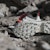 (W) TERREX Skychaser GORE-TEX Kasut Mendaki IH2802