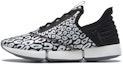 Buy (W) Reebok DailyFit DMX 'Hitam Leopard' GY3197