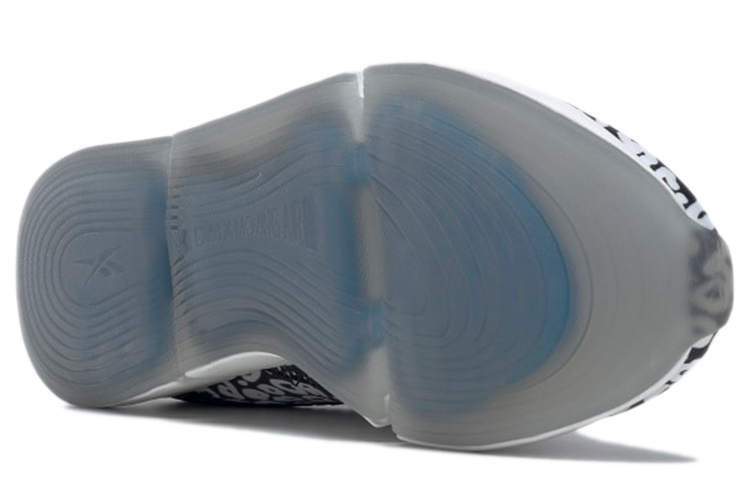Details for (W) Reebok DailyFit DMX ''Schwarzer Leopard'' GY3197