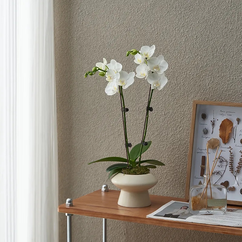 Order (W) Reebok Freestyle High 'Putih Silver' 70