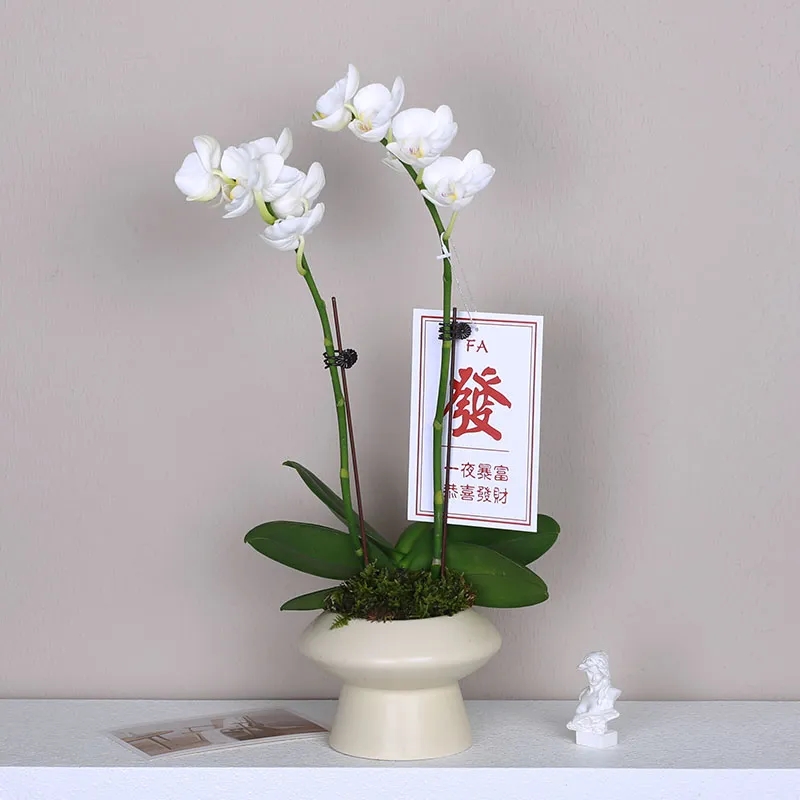 Lookbook (W) Reebok Freestyle High 'Putih Silver' 70