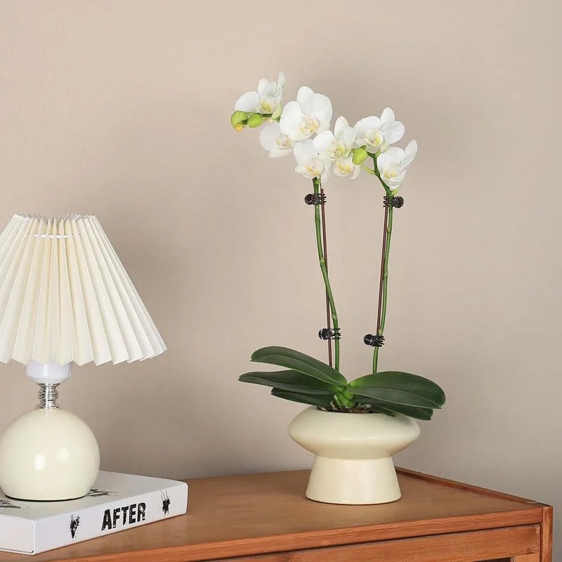 Shop (W) Reebok Freestyle High 'Putih Silver' 70