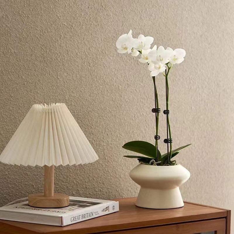 Purchase (W) Reebok Freestyle High 'Putih Silver' 70