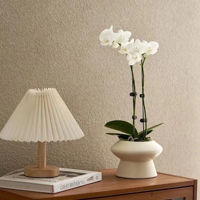 (女性)Reebok Freestyle 高筒 '白銀' 70 Purchase (女性)Reebok Freestyle 高筒 '白銀' 70