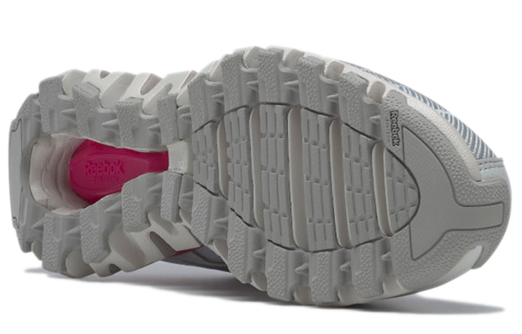 Details for (W) Reebok ZigWild Trail 6 ''Pure Grey'' Grijs Trail Schoenen G58587