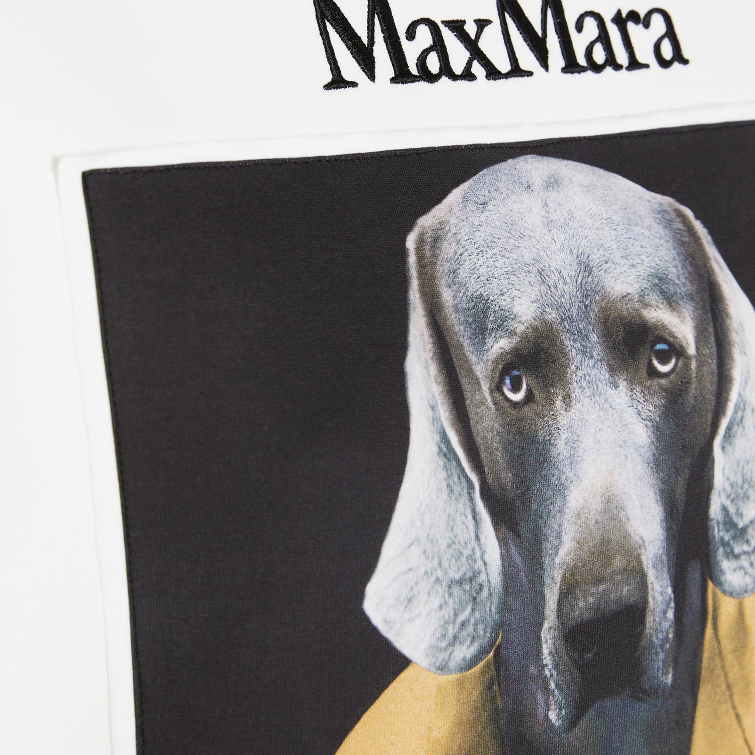 Cheap (Women) 'S Max Mara MaxMara  Animal Print Crewneck Oversized Sweatshirt - White 2421926011600-003