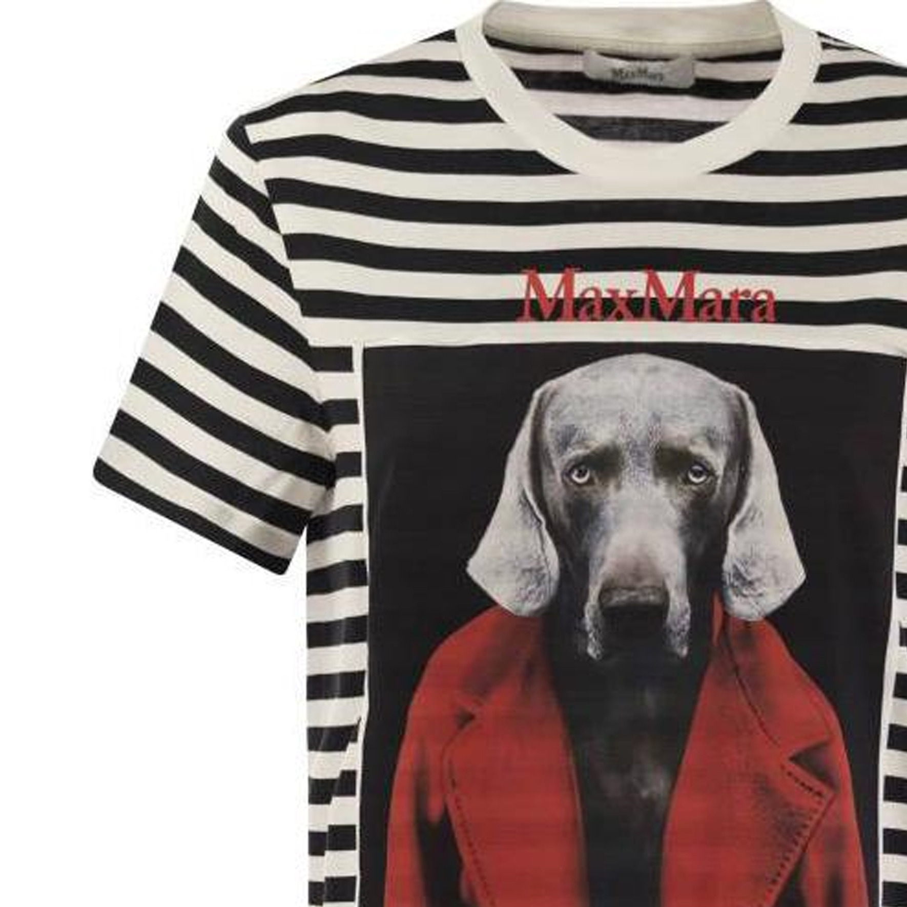 Purchase (Women) 'S Max Mara MaxMara  Black Striped Animal Print Crewneck T-Shirt. 1946084106003